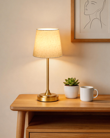 Battery Operated Lamp