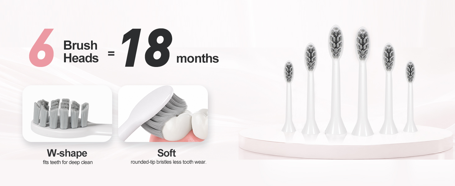 6 brush heads electric toothbrush