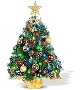 AGIRL Tabletop Christmas Tree 22 Inch Mini Artificial Christmas Tree with 30 LED String Lights, S...