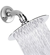 shower head with arm