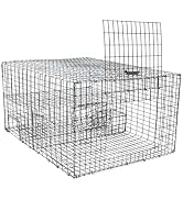 WCS Multi-Catch Sparrow Trap - Galvanized Steel Bird Cage for House Sparrows &amp; Starlings - Humane...
