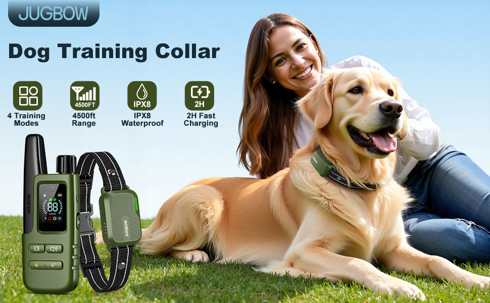 dog shock collar