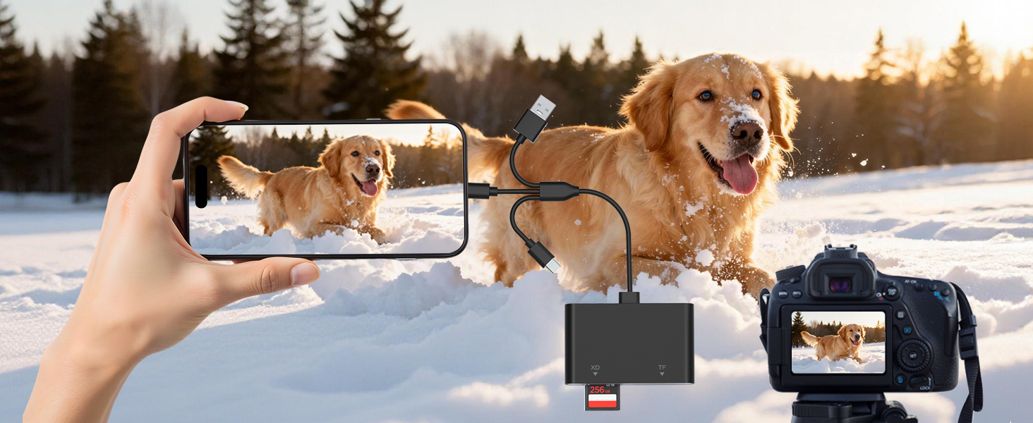 memory stick pro duo adapter