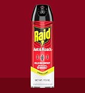 Raid Ant &amp;amp;amp;amp; Roach Lemon Spray