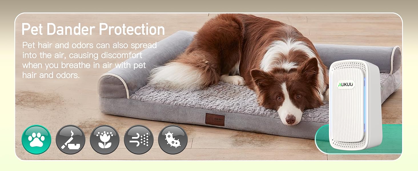 Pet Dander Protection