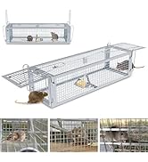Humane Rat Trap, Large 2-Door Mouse Traps That Work for Indoor Home and Outdoor, Small Rodent Chi...