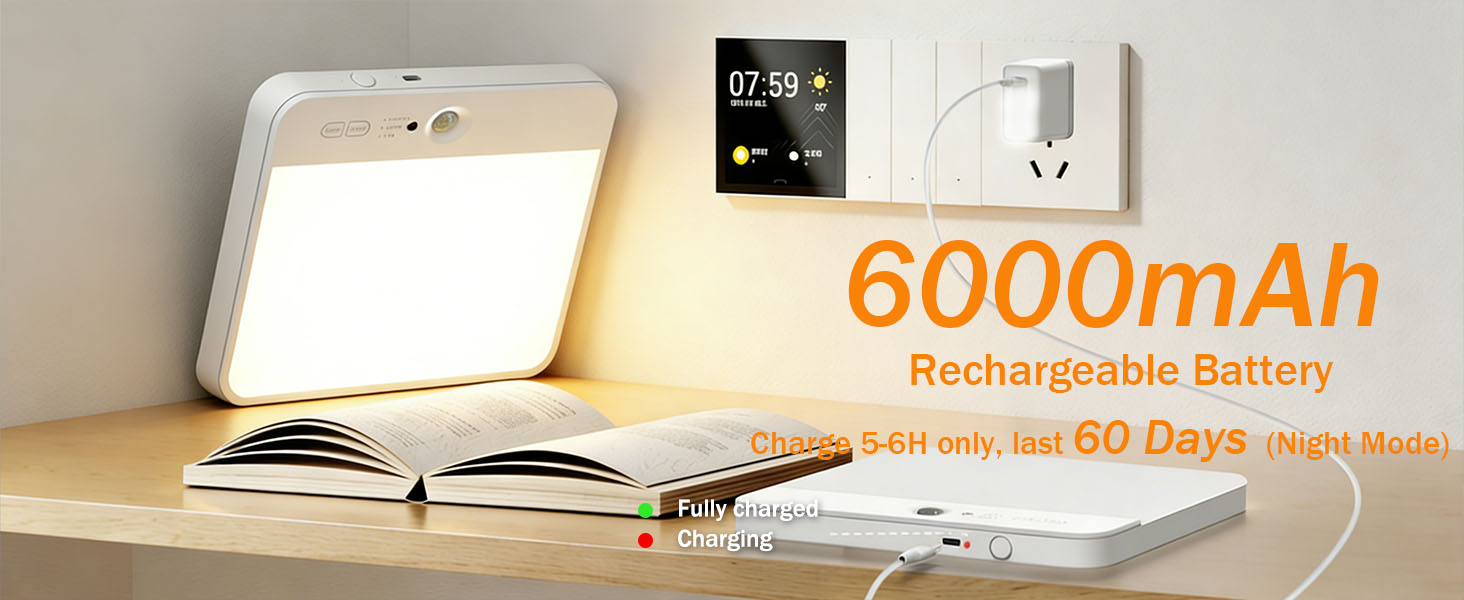 6000mAh Rechargeable Battery