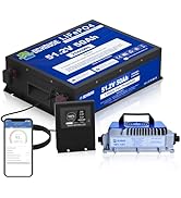 DC HOUSE 48V 50Ah Mini Golf Cart Battery with 18A Battery Charger, Bluetooth Mobile APP &amp;Touch LC...