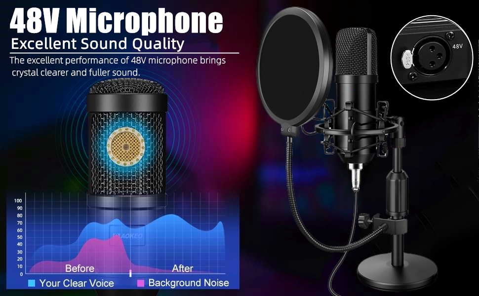 Condenser Microphone Bundle
