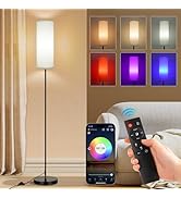 FRIDEKO HOME Floor Lamp, Color Changing Ambient Lighting for Living Room &amp; Gaming Decor, Smart St...