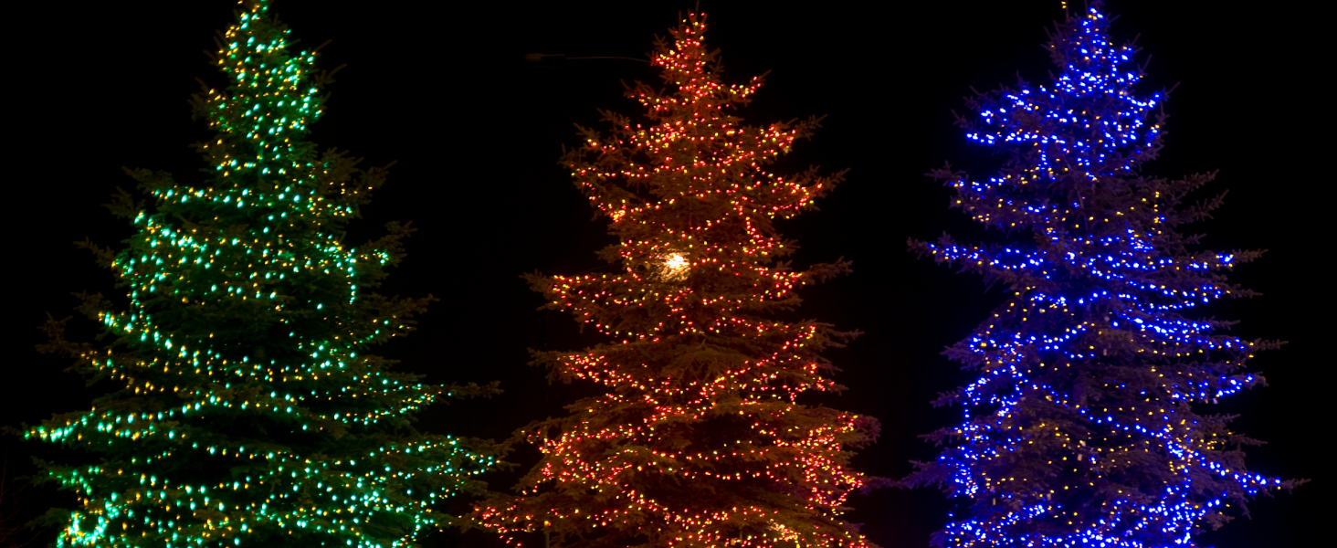 Twinkle Lights