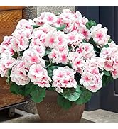 SITUMEIZI Artificial Geranium Flowers for Outdoors Geranium White Silk Flower Outdoor Garden Plan...