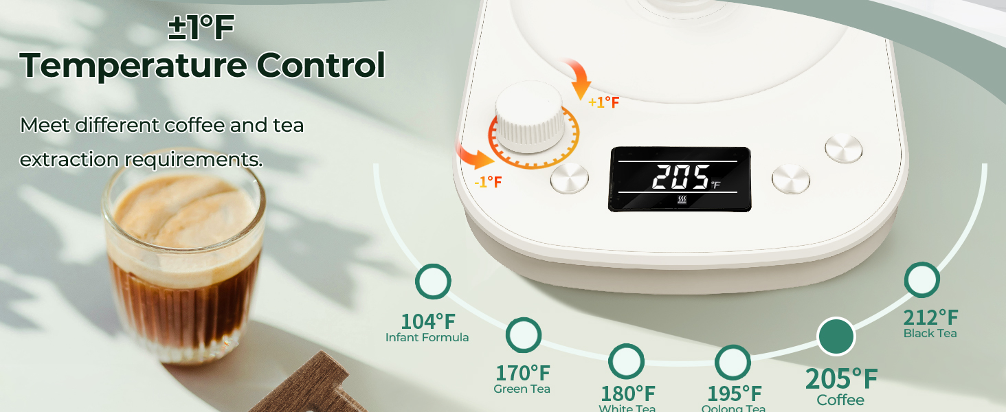 Gooseneck Electric Kettle with Temperature Control