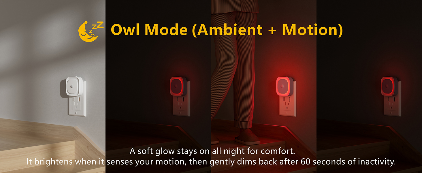 night owl night light