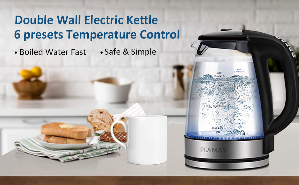 electric kettle with temperature control
