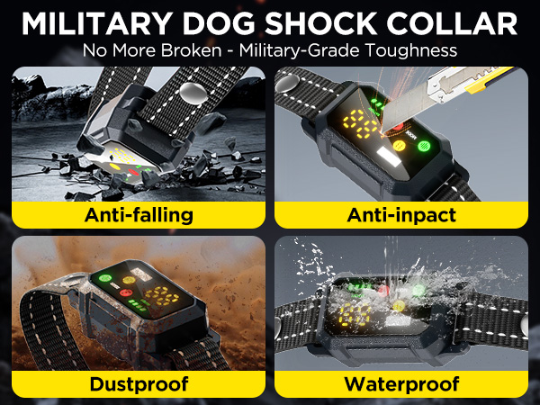 dog shock collar with remote control