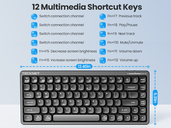 12 multimedia keys
