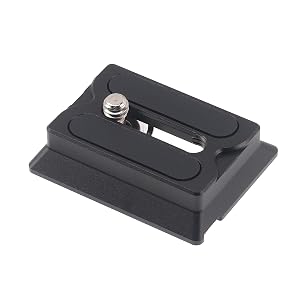 SUNRJ003.1