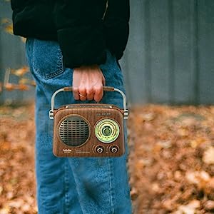Vintage-style portable radio with wooden casing, metal speaker grille, and circular dial being carried by hand against an autumn background.