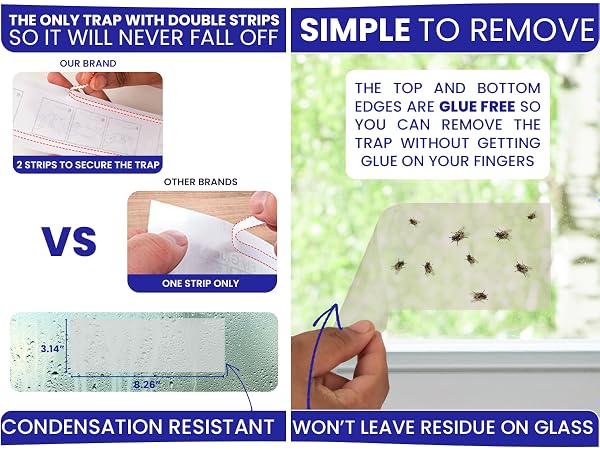 Simple to remove house fly trap indoor. Fruit fly sticky traps for getting rid of house flies. 