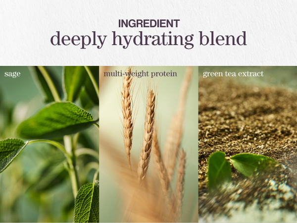 hydrate ingredients