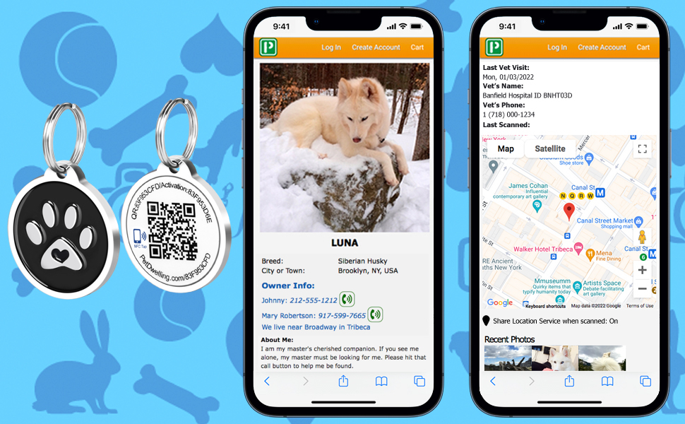 Dogs cats pet ID tag collar map tracking laser engraved stainless NFC QR scan instant location