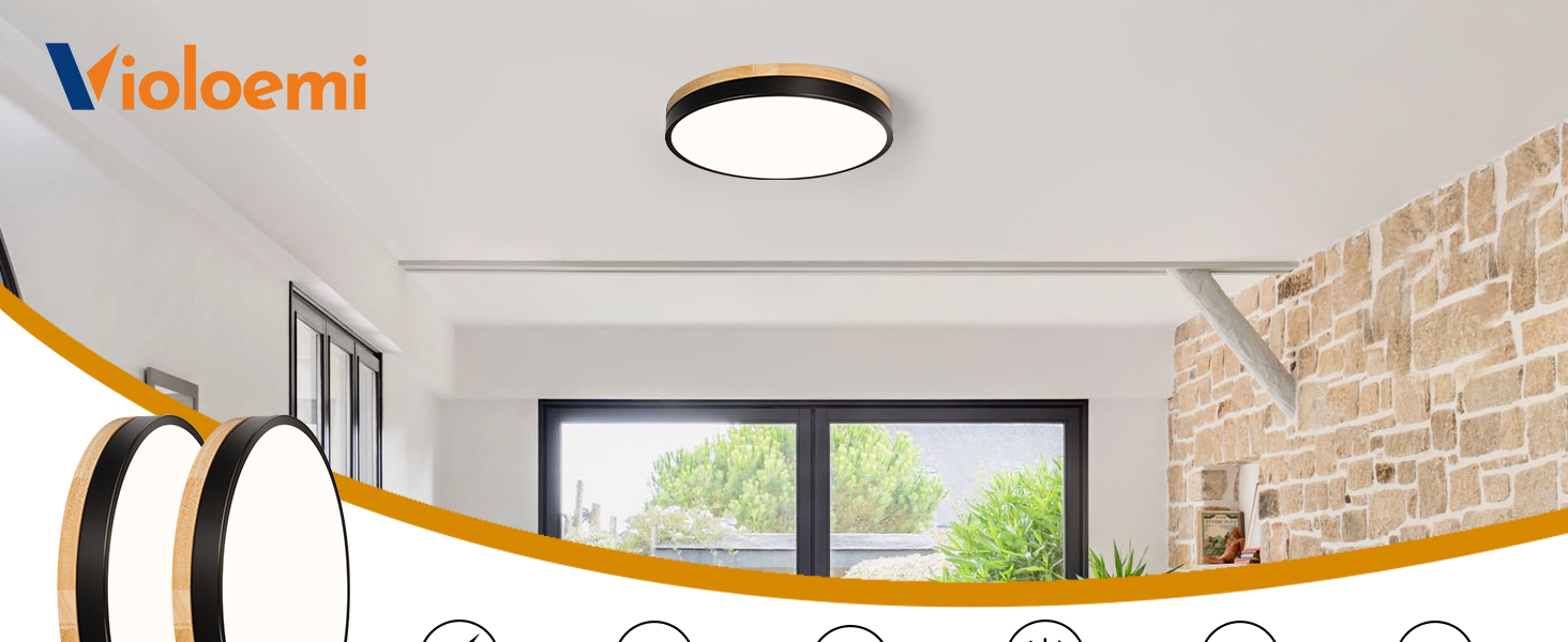 flush mount ceiling light