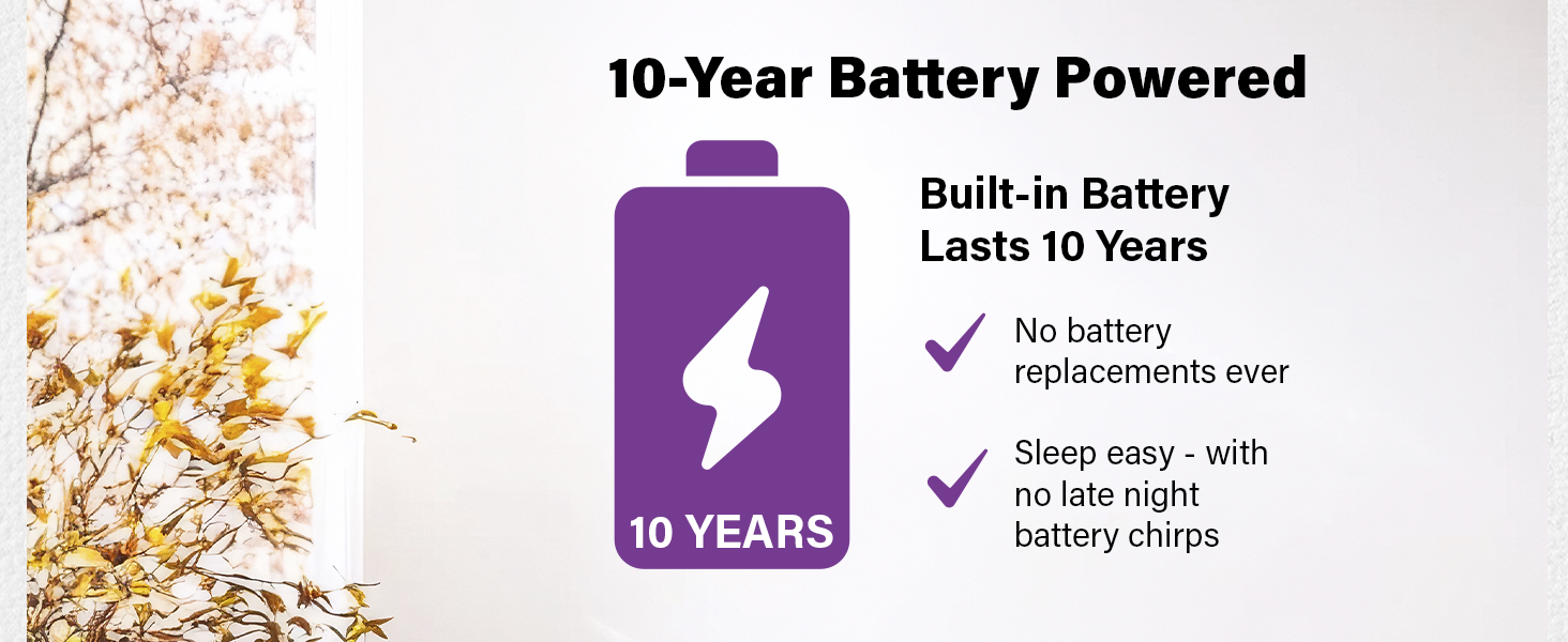 smoke detector carbon monoxide detector combo 10 year battery