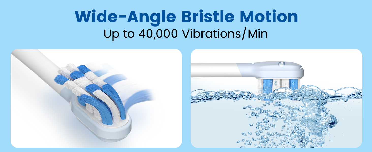 Wide-Angle Bristle Motion
