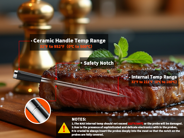 bluetooth meat thermometer
