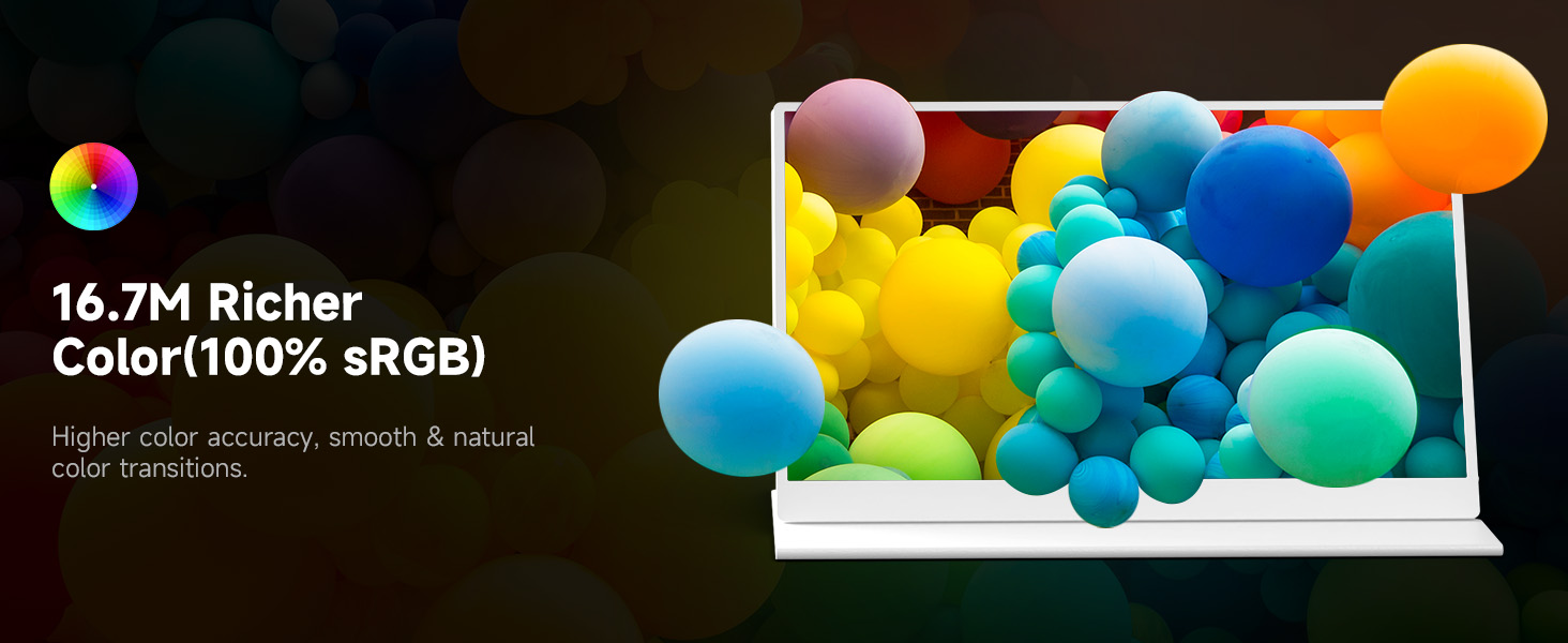 AYY Portable Monitor