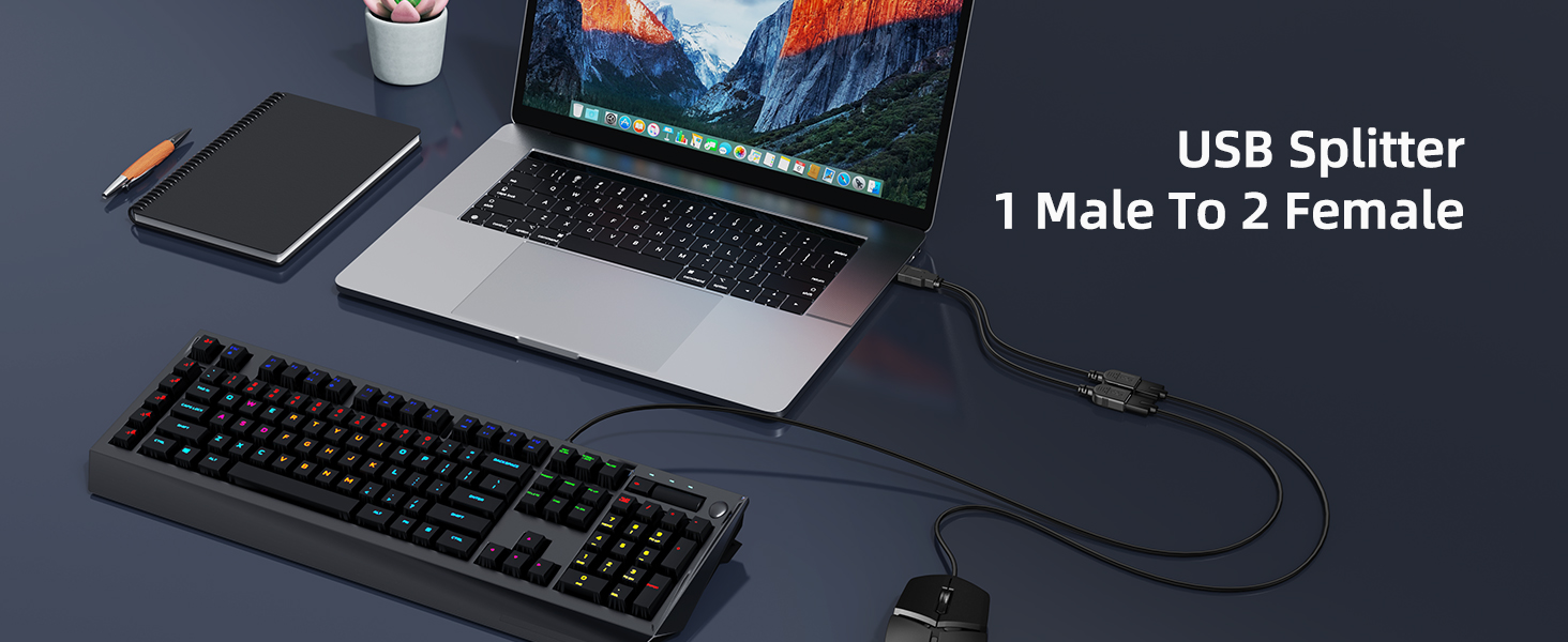 USB splitter cable connecting laptop to keyboard. Text overlay: 'USB Splitter 1 Male To 2 Female'. Desk setup with notebook and plant visible.