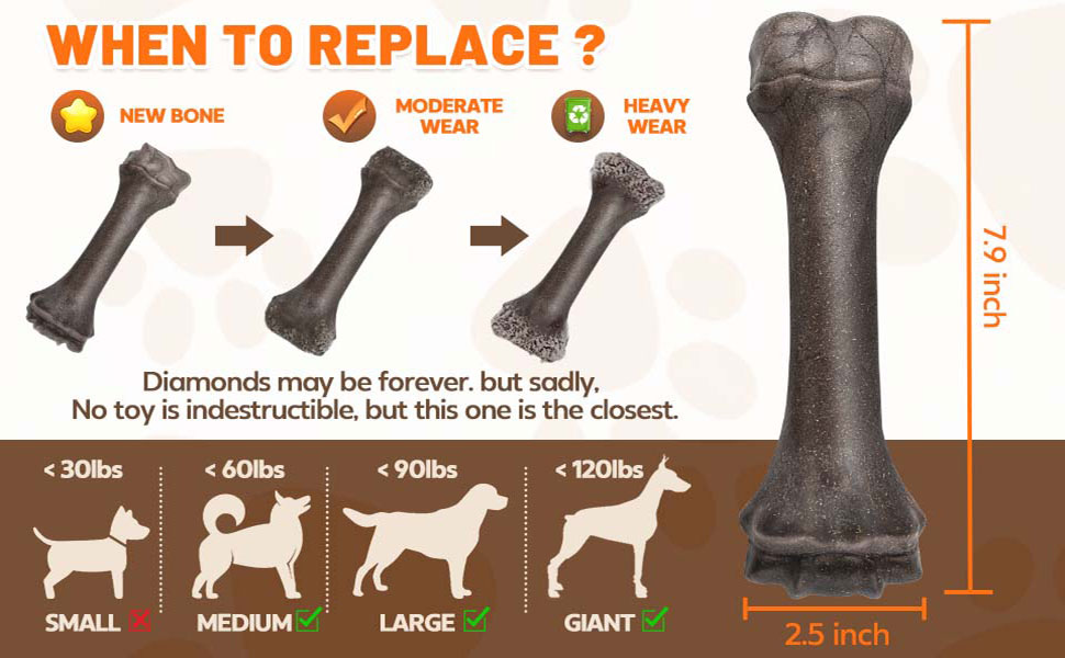 DOG toys