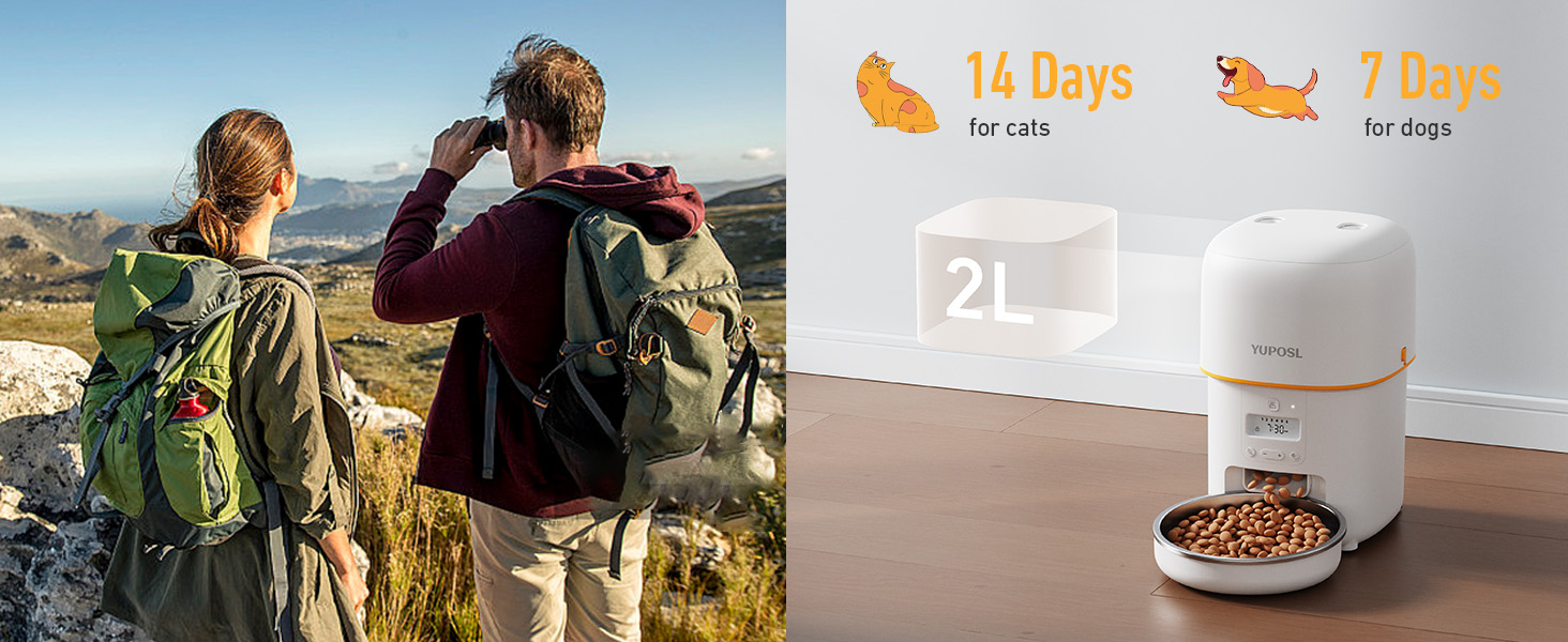 autoamtic cat feeder automatic cat food dispenser pet feeder