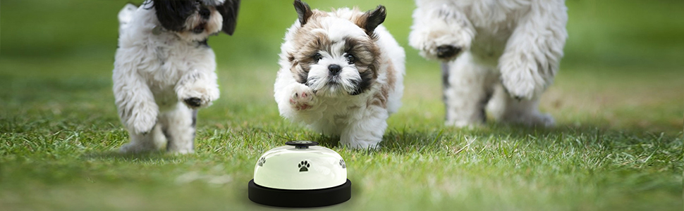white dog bell