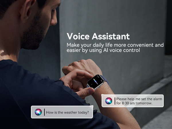 voice assistant