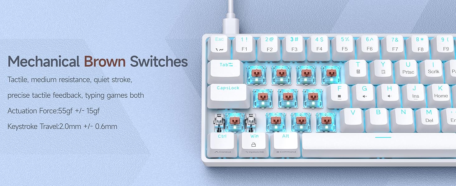 DK61SE- Brown Switch