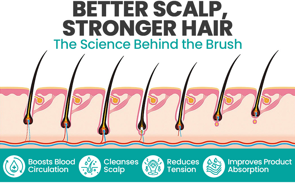 better scalp stronger hair
