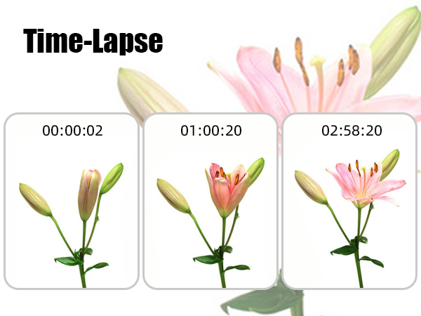 night vision camcorder