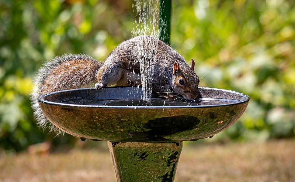 solar fountain pump solar water fountain for bird bath