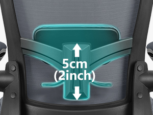 Dynamic Lumbar Support