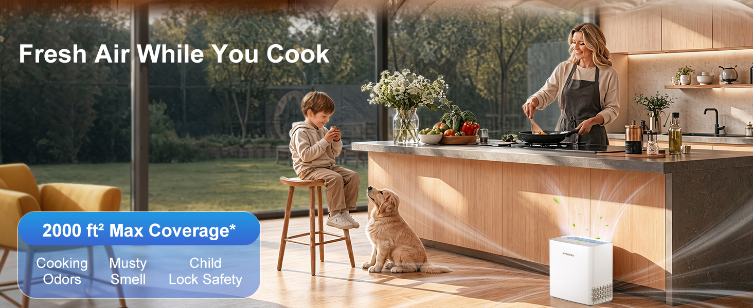Air purifiers for large rooms