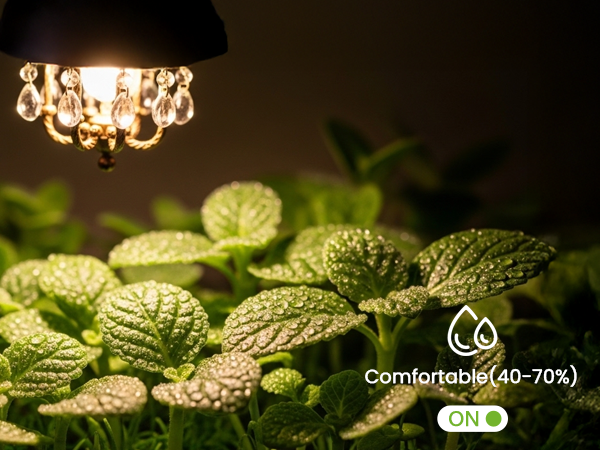 3 way smart dimmer switch