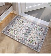Rugcomf Entryway Rug 2x3 Rug Door Mat Indoor Entrance Washable Rug Small Non-Slip Low Pile Throw ...