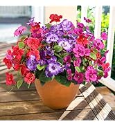 Hoppwodd Hibiscus Artificial Flowers for Outdoors Spring Decoration, 6 Bundles Faux Silk Flowers ...