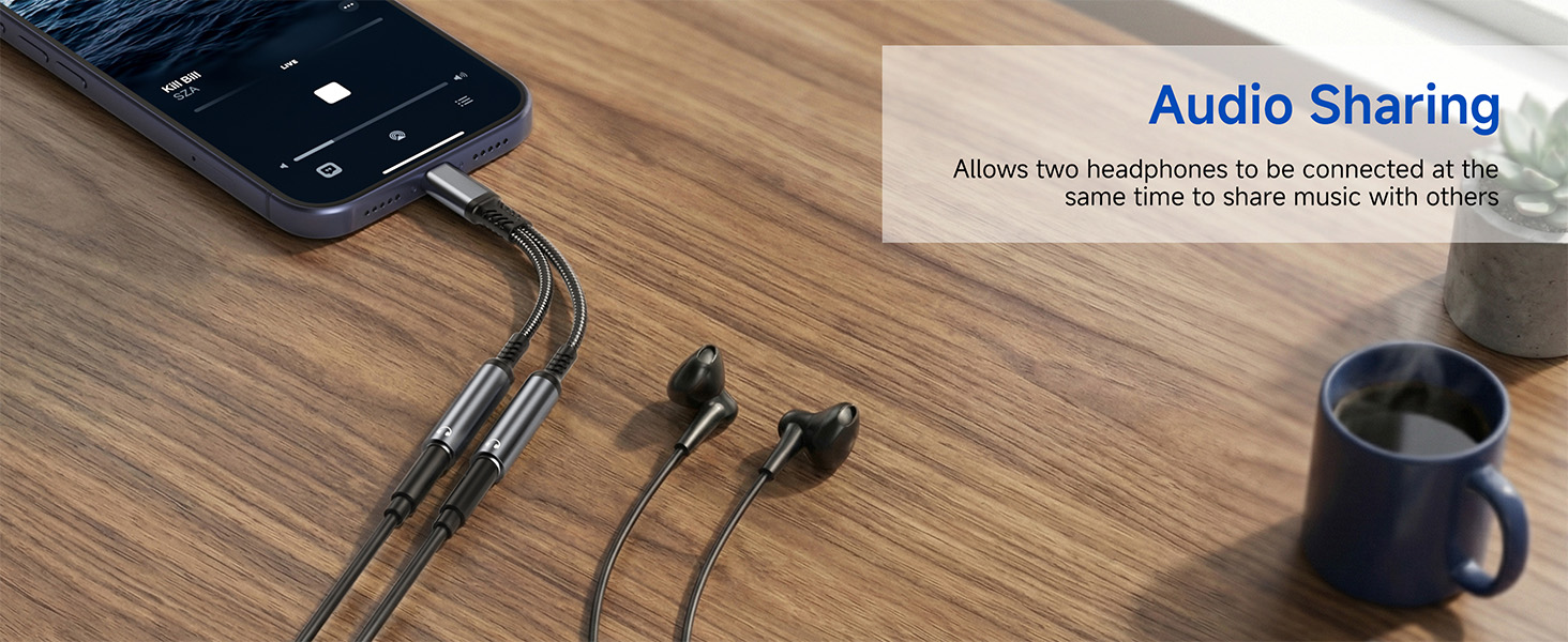 headphone splitter