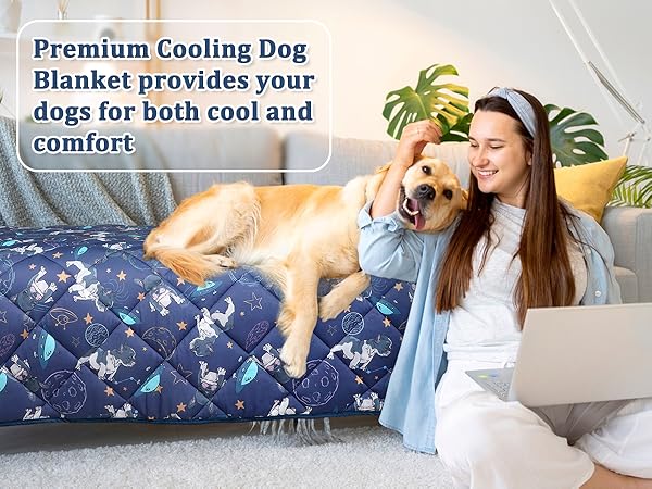 dog cooling mat