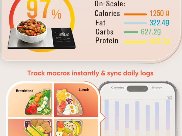 calorie scale