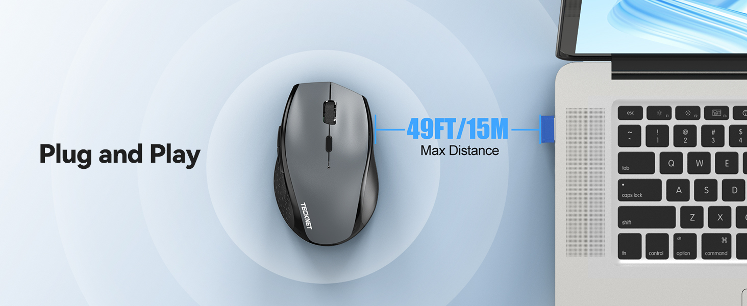 mouse