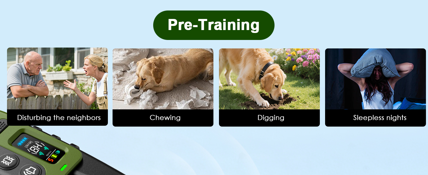 dog trainning collar